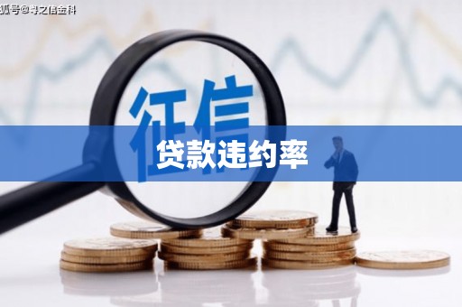 渭城贷款违约率