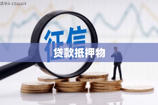 渭城贷款抵押物
