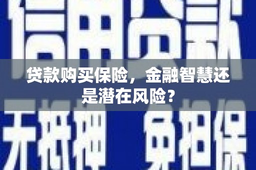 渭城贷款购买保险，金融智慧还是潜在风险？