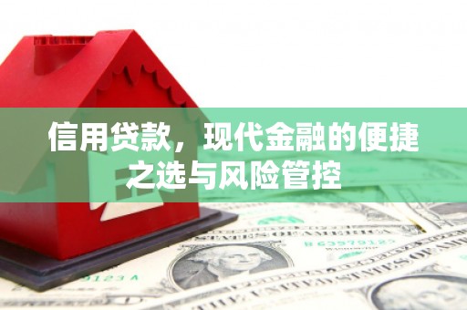渭城信用贷款，现代金融的便捷之选与风险管控