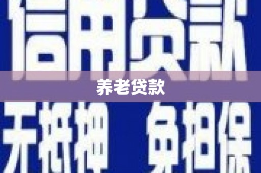 渭城养老贷款