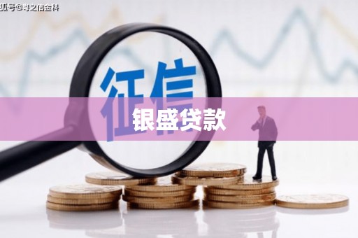 渭城银盛贷款
