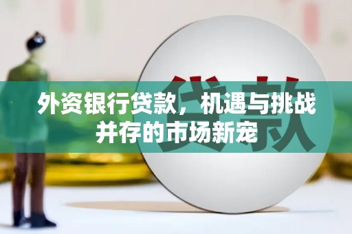 渭城外资银行贷款，机遇与挑战并存的市场新宠