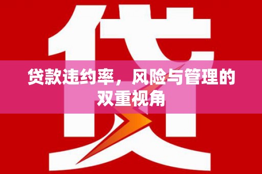 渭城贷款违约率，风险与管理的双重视角