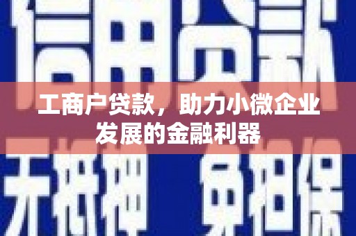 渭城工商户贷款，助力小微企业发展的金融利器