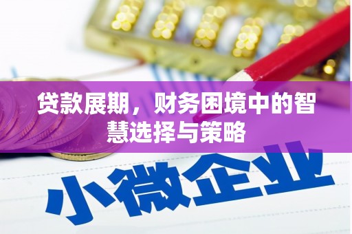 渭城贷款展期，财务困境中的智慧选择与策略