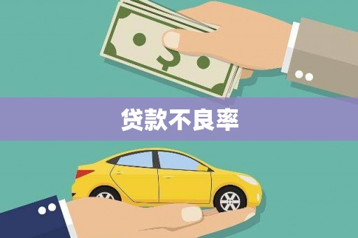 渭城贷款不良率