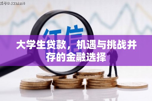 渭城大学生贷款，机遇与挑战并存的金融选择