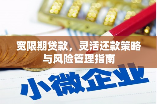 渭城宽限期贷款，灵活还款策略与风险管理指南