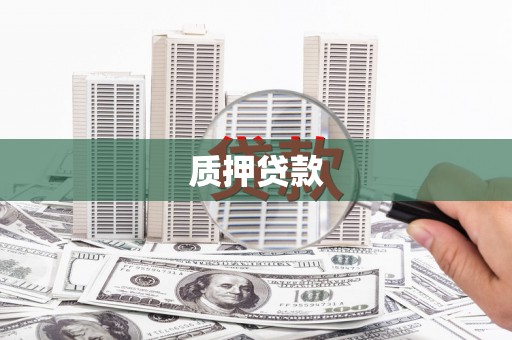 渭城质押贷款