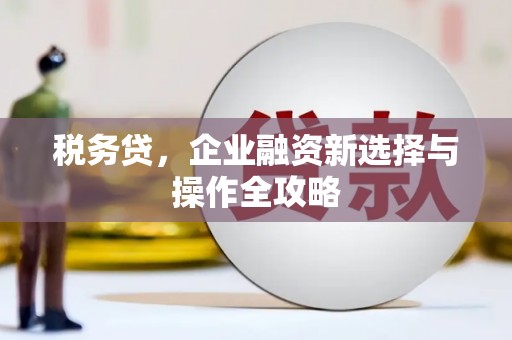 渭城税务贷，企业融资新选择与操作全攻略