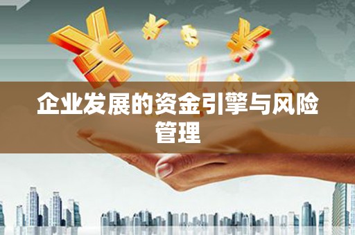 渭城企业发展的资金引擎与风险管理