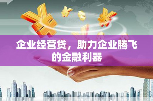 渭城企业经营贷，助力企业腾飞的金融利器