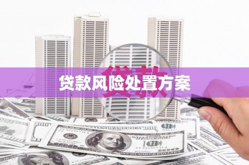 渭城贷款风险处置方案