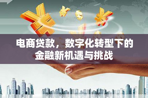 渭城电商贷款，数字化转型下的金融新机遇与挑战