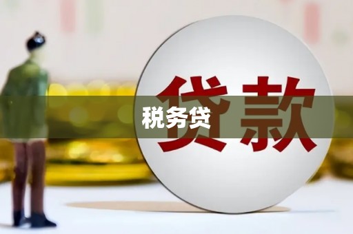 渭城税务贷