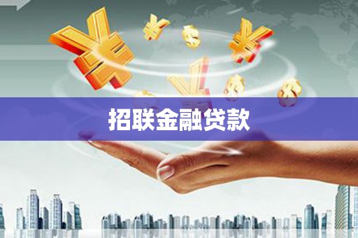 渭城招联金融贷款