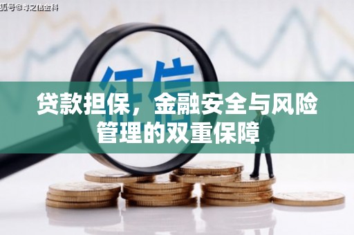 渭城贷款担保，金融安全与风险管理的双重保障