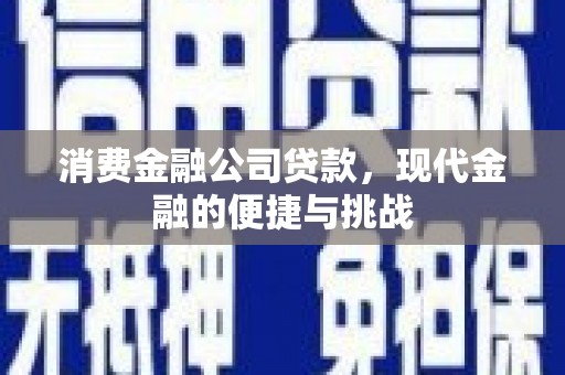 渭城消费金融公司贷款，现代金融的便捷与挑战