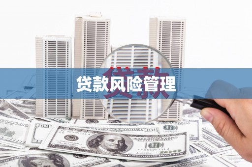 渭城贷款风险管理