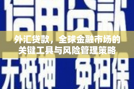 渭城外汇贷款，全球金融市场的关键工具与风险管理策略