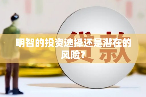 渭城明智的投资选择还是潜在的风险？