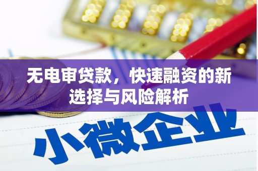 渭城无电审贷款，快速融资的新选择与风险解析