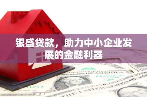 渭城银盛贷款，助力中小企业发展的金融利器