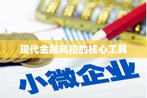 渭城现代金融风控的核心工具