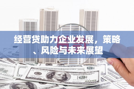 渭城经营贷助力企业发展，策略、风险与未来展望
