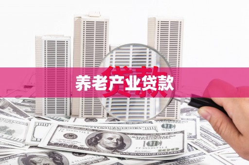 渭城养老产业贷款