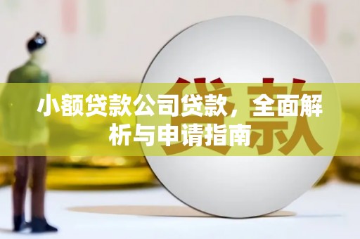 渭城小额贷款公司贷款，全面解析与申请指南