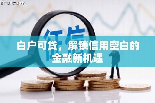 渭城白户可贷，解锁信用空白的金融新机遇