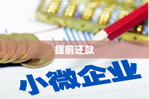 渭城提前还款