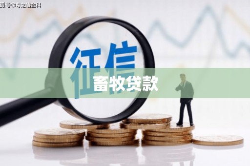渭城畜牧贷款