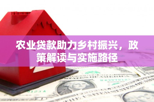 渭城农业贷款助力乡村振兴，政策解读与实施路径