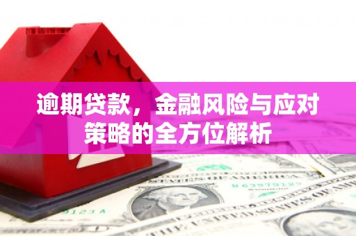 渭城逾期贷款，金融风险与应对策略的全方位解析