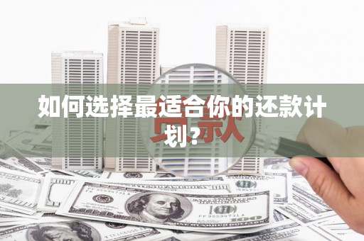 渭城如何选择最适合你的还款计划？