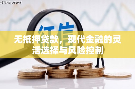 渭城无抵押贷款，现代金融的灵活选择与风险控制
