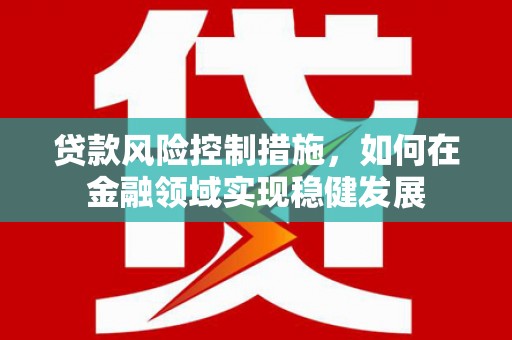 渭城贷款风险控制措施，如何在金融领域实现稳健发展