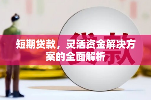 渭城短期贷款，灵活资金解决方案的全面解析