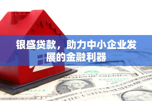 渭城银盛贷款，助力中小企业发展的金融利器