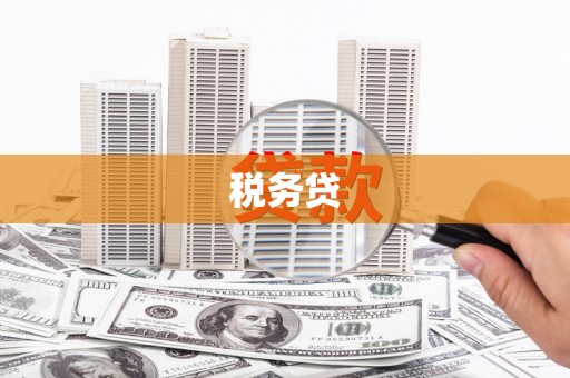 渭城税务贷