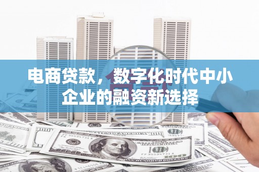 渭城电商贷款，数字化时代中小企业的融资新选择
