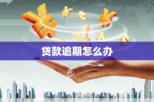渭城贷款逾期怎么办