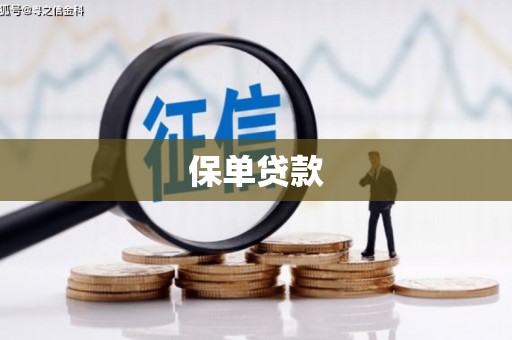 渭城保单贷款