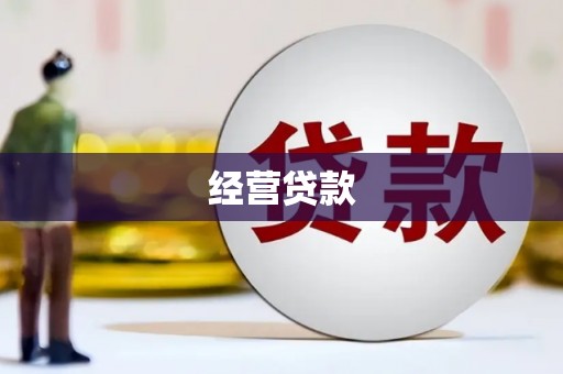 渭城经营贷款