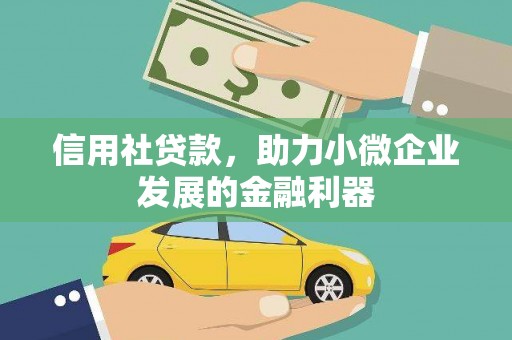 渭城信用社贷款，助力小微企业发展的金融利器