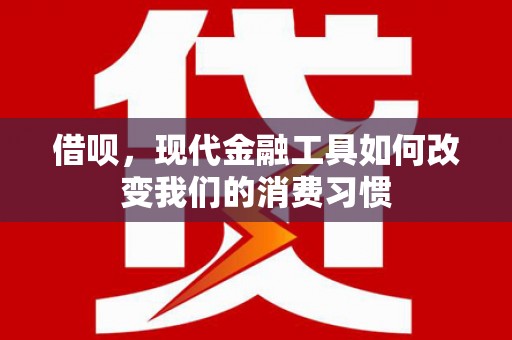 渭城借呗，现代金融工具如何改变我们的消费习惯