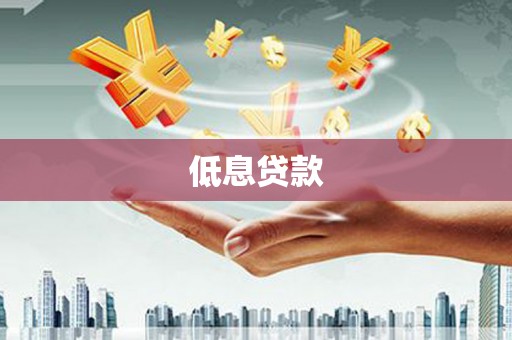 渭城低息贷款